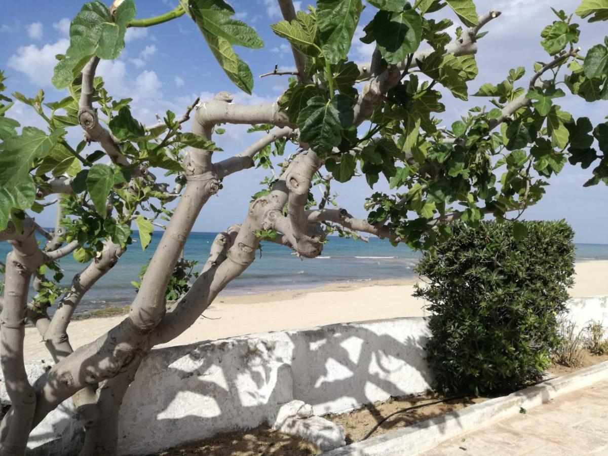 Dimora Grazia In Riva Al Mare Appartement Monopoli Buitenkant foto